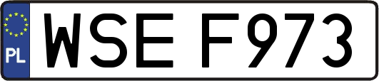 WSEF973
