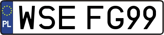 WSEFG99