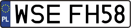 WSEFH58