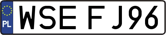 WSEFJ96