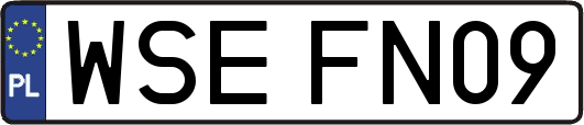 WSEFN09