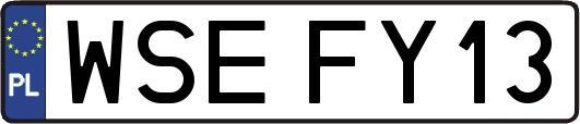 WSEFY13