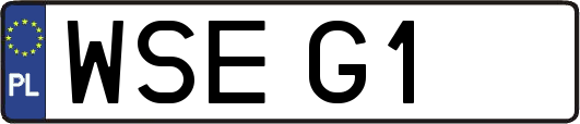 WSEG1