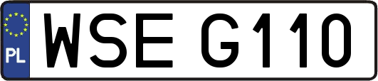 WSEG110