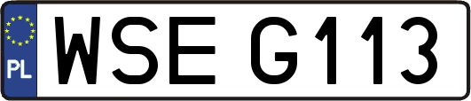 WSEG113