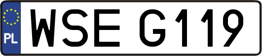 WSEG119