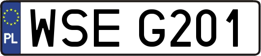 WSEG201