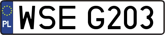 WSEG203