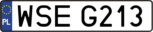 WSEG213