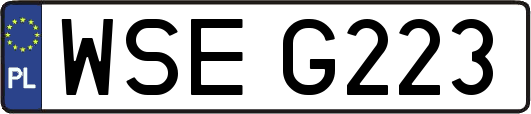 WSEG223