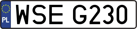 WSEG230
