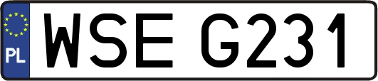 WSEG231