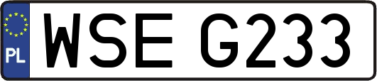 WSEG233
