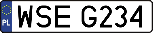 WSEG234