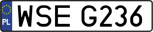 WSEG236