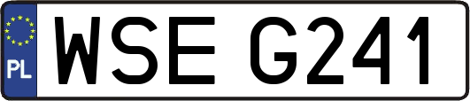 WSEG241