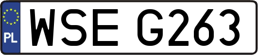 WSEG263