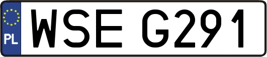 WSEG291