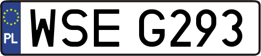 WSEG293