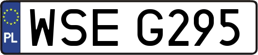 WSEG295