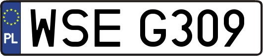WSEG309