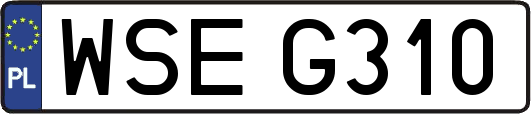 WSEG310