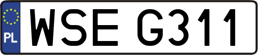 WSEG311