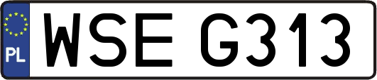 WSEG313