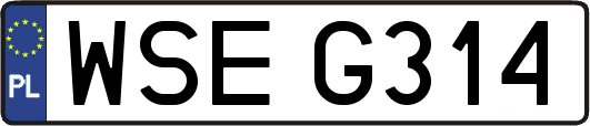 WSEG314