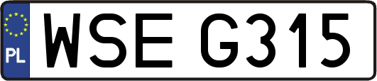 WSEG315