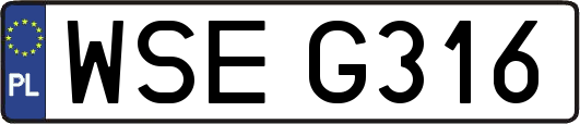 WSEG316