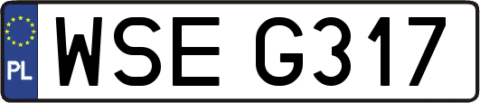 WSEG317