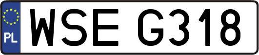 WSEG318