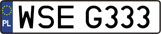 WSEG333