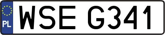 WSEG341