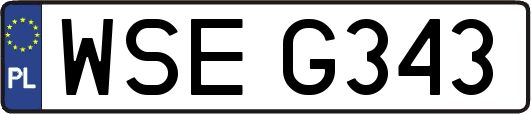 WSEG343