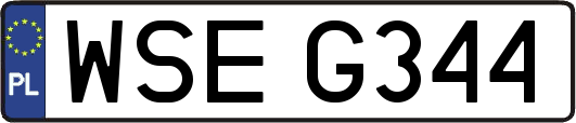 WSEG344