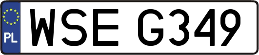 WSEG349