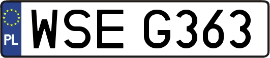 WSEG363