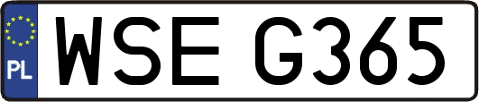WSEG365