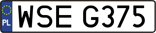 WSEG375