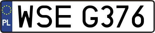 WSEG376
