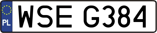 WSEG384