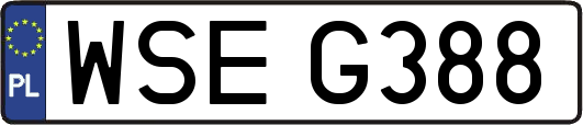 WSEG388