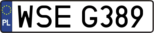 WSEG389