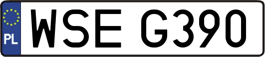 WSEG390