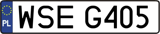 WSEG405