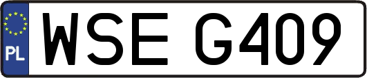 WSEG409