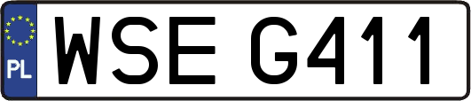 WSEG411