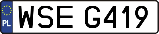 WSEG419